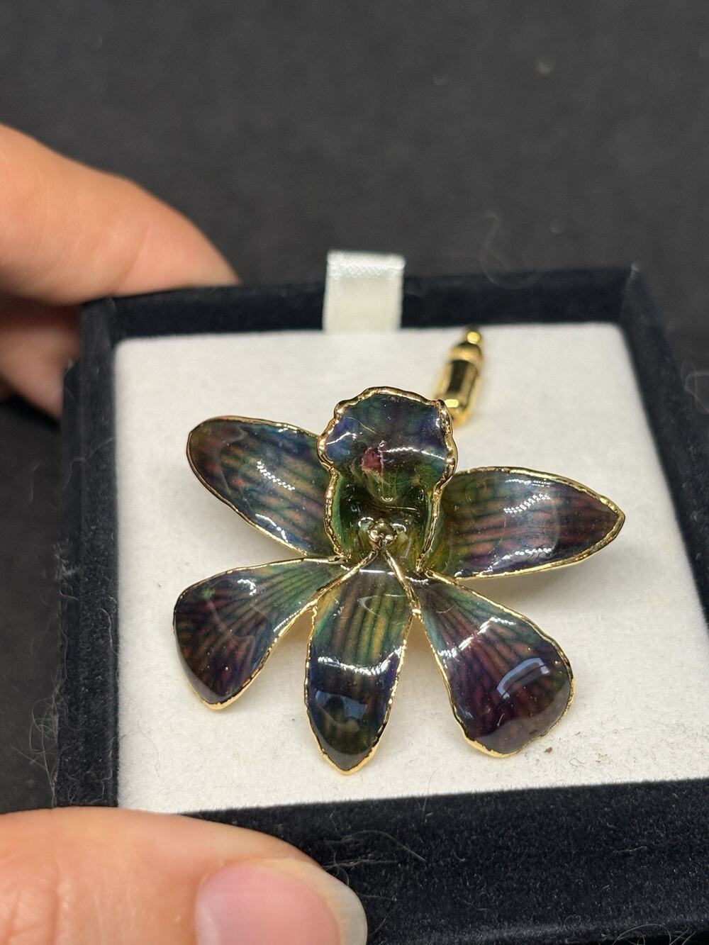 24K Gold Plated Real Thai Butterfly Orchid Pin Sainamphung Orchid Farm + Box MRL